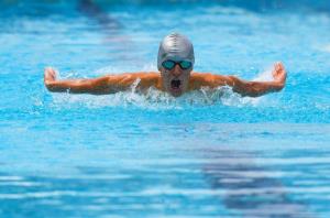 Drago Vogrinec: Delfin, diploma