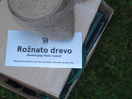 Zasaditev rožnatega drevesa