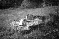 Slika 2: Večji ledeniški balvan na moreni nad Kamno Gorico