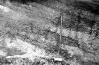 Slika 8: Značilna plastovitost periglacialnega drobirja